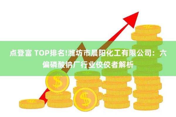 点登富 TOP排名!潍坊市晨阳化工有限公司：六偏磷酸钠厂行业佼佼者解析