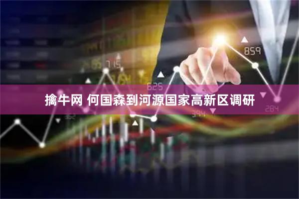 擒牛网 何国森到河源国家高新区调研